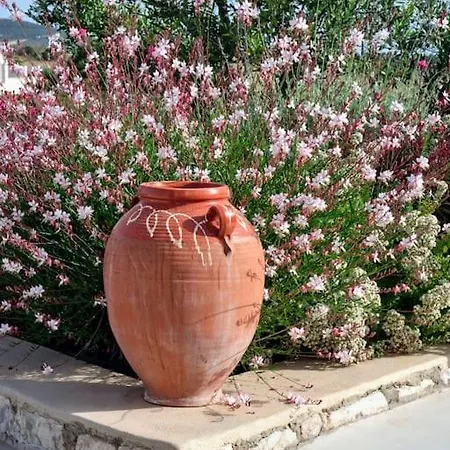 Jasmine House Nyaraló