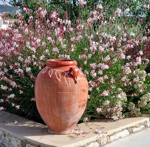 Jasmine House Semesterbostad